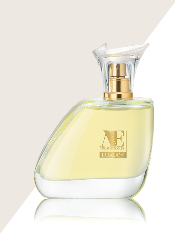 Perfumes de Mujer: Lociones & Fragancias Originales para Dama – Dossier  Mexico