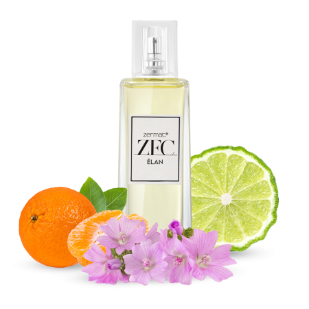 fragancia-para-caballero-zfc-vivaze-elan-100ml-83391-notas-olfativas