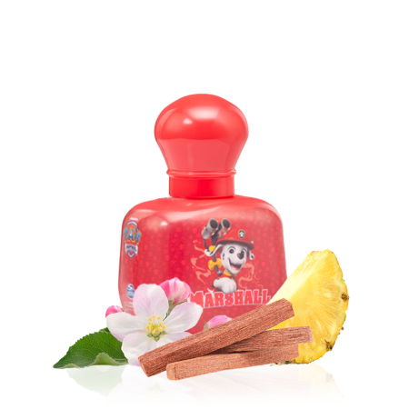fragancia-para-nino-paw-patrol-marshall-82751-notas-olfativos